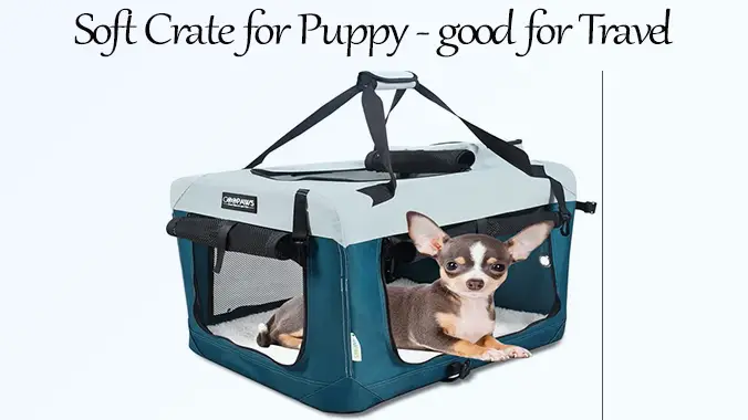 best puppy crate for traveler